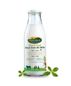 SUBSCRIBE FOR FIRST PURCHASE OFFER OF PANCHKUL DESI COW A2 MILK